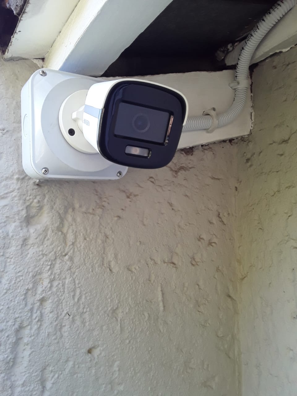 Additional Image 2